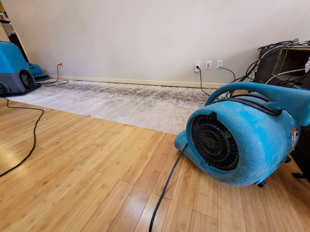 Professional Water Damage Repair technician working in Atascadero, CA